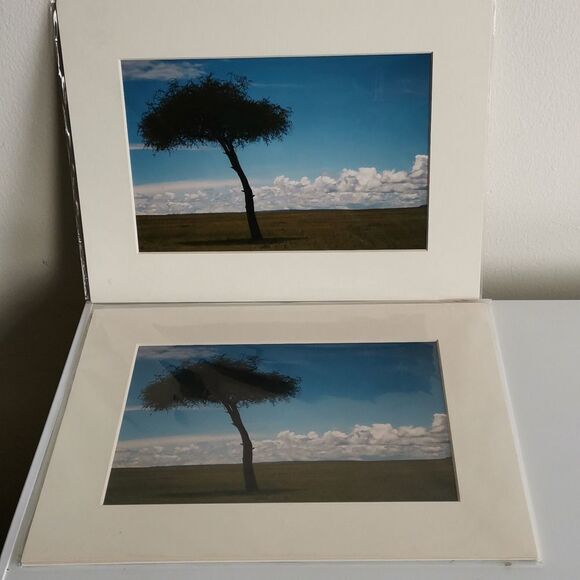 NWOT Home Art Set of 2 - Picture 2 of 3